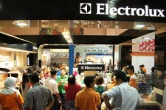 15. IE Fair 2011
